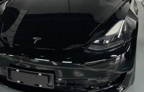 国产免,免生成技术引领未来创新浪潮  第2张