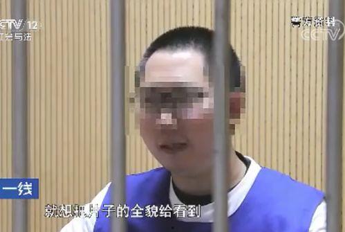 91秦先生国产,国产生态下的创新与突破  第3张